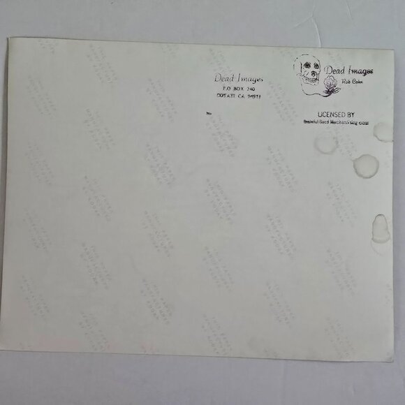 Grateful Dead Licensed Concert Photo By Rob Cohn Dead Images 1990s Live Band Per - Picture 12 of 15